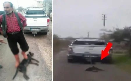 Zavallı Köpeği Otomobilin Arkasına Bağlayıp Sürükleyen Sınıf Öğretmeni