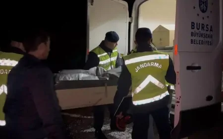 İznik'te Şok Eden Cinayet: 18 Yaşındaki Genç Yakılarak Öldürüldü