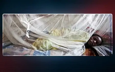 Batı Afrika'da Lassa Ateşi Alarmı: Bir Haftada 10 Can Kaybı, Salgın Endişesi Artıyor