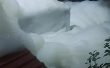 Yalova'da İçme Suyu Krizi: Kimyasal Şüphe ve Soruşturma Devam Ediyor