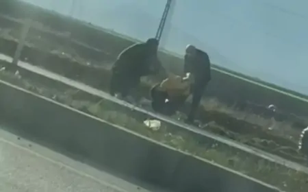 Adana'da Yol Ortasında Şiddet: Kadına Saçlı Saldırı, Çocuğa Darbe İddiası