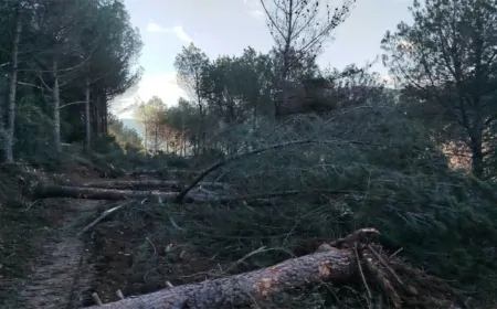 Tire-Belevi Yolu Yenileme Çalışmalarında Güzergah Değişikliği Tartışmalara Neden Oldu