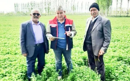 Iğdır’da Yem Bitkileri Kontrolleri Başladı: Tarımsal Desteklemelerde Şeffaflık ve Verimlilik Hedefleniyor