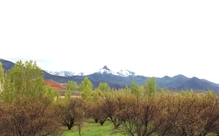 Bu İlde Aynı Anda İki Mevsim Yaşanıyor: Dağlarda Kış, Ovaya Bahar Geldi