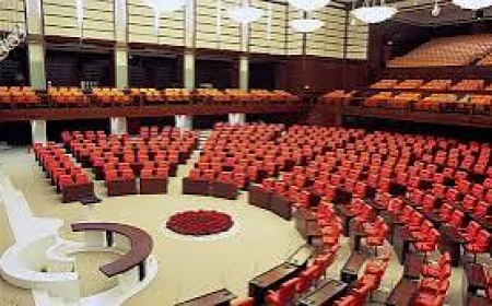 Vekiller Sofrayı Kurdu, Vaatleri Tavada Bıraktı  Yorum: Gazeteci Tahir Kavri