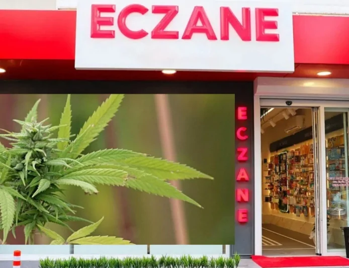 Artık eczanelerde satılabilecek: Tıbbi kenevir nedir, faydaları neler?