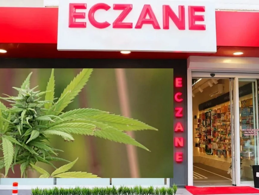 Artık eczanelerde satılabilecek: Tıbbi kenevir nedir, faydaları neler?