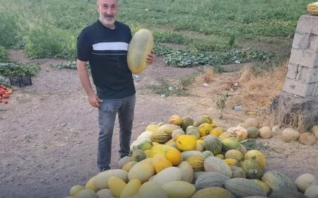 Melekli Şalak Kavunu Pazarlarda Yerini Aldı: Iğdır’ın Serinleten Lezzeti Yeniden Sofralarda