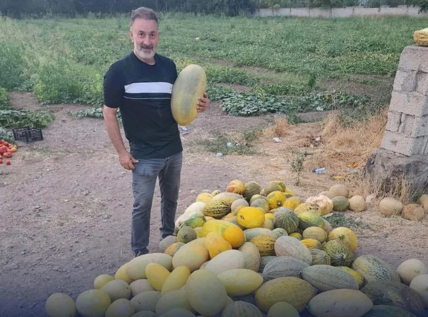 Melekli Şalak Kavunu Pazarlarda Yerini Aldı: Iğdır’ın Serinleten Lezzeti Yeniden Sofralarda