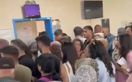 Videoludur "Vatandaş Sırada, Yetkililer Nerede?"