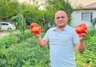 Iğdır Esnaf ve Sanatkârlar Odası Başkanı Atakan Demirci'den "Iğdır'ın Süper Domatesi"ne Destek