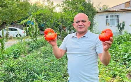 Iğdır Esnaf ve Sanatkârlar Odası Başkanı Atakan Demirci'den "Iğdır'ın Süper Domatesi"ne Destek