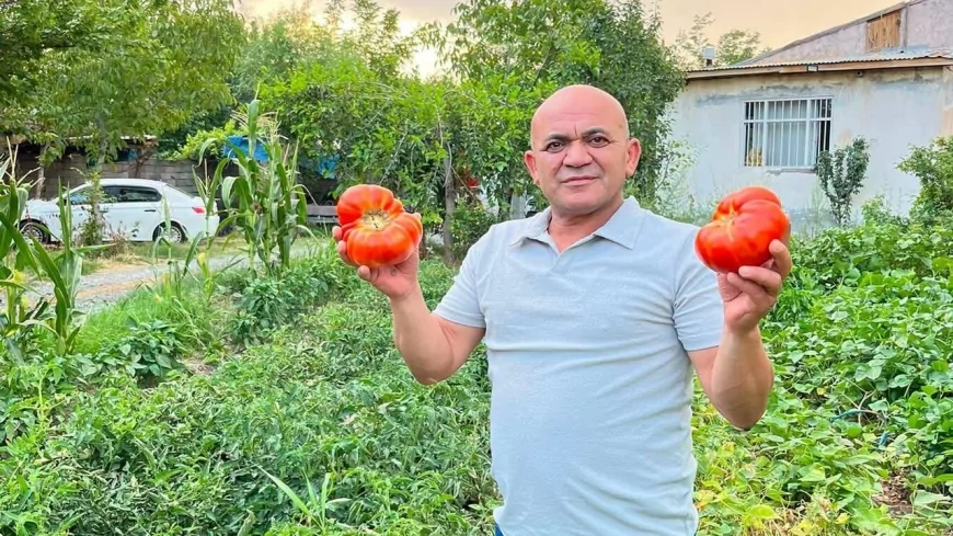 Iğdır Esnaf ve Sanatkârlar Odası Başkanı Atakan Demirci'den "Iğdır'ın Süper Domatesi"ne Destek